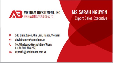 Camel Beer Stout OEM Brand Private Label Lager Best Price Wholesale Packaged in Bottle