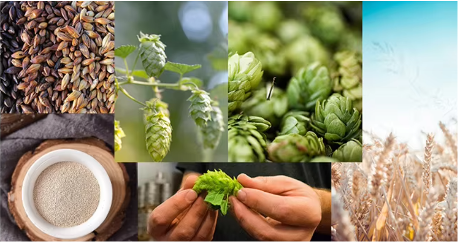 Hot Sale Custom Alcohol Content 330ml 12oz Dark Malt Beer Alcoholic Drink Wheat Stout Beer with OEM Service