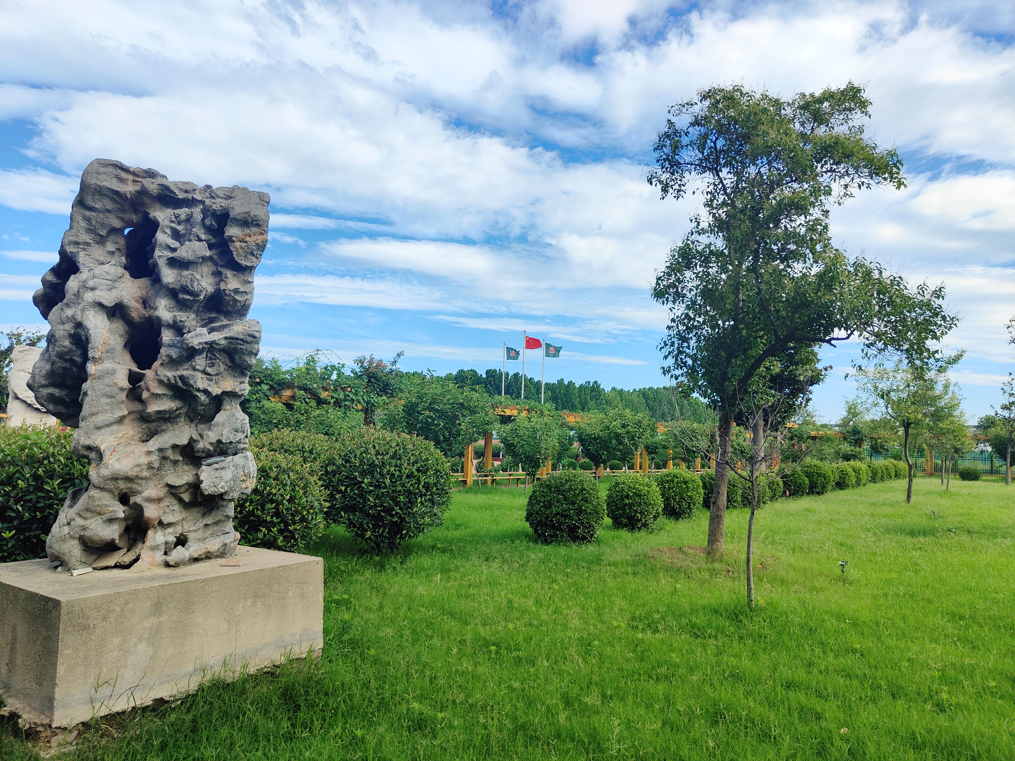 High Quality Traditional Ale Custom Brewed with Premium Malt Ingredients Bottle-Filtered Stout BeerWholesale Available