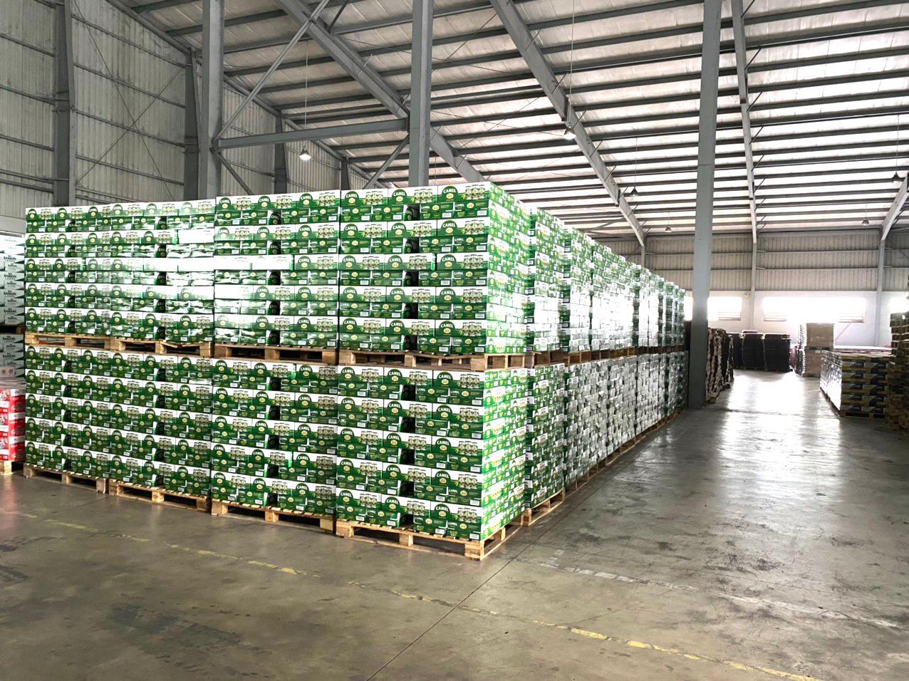 Camel Beer Stout OEM Brand Private Label Lager Best Price Wholesale Packaged in Bottle