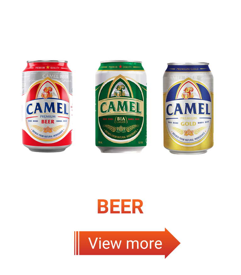 Camel Beer Stout OEM Brand Private Label Lager Best Price Wholesale Packaged in Bottle