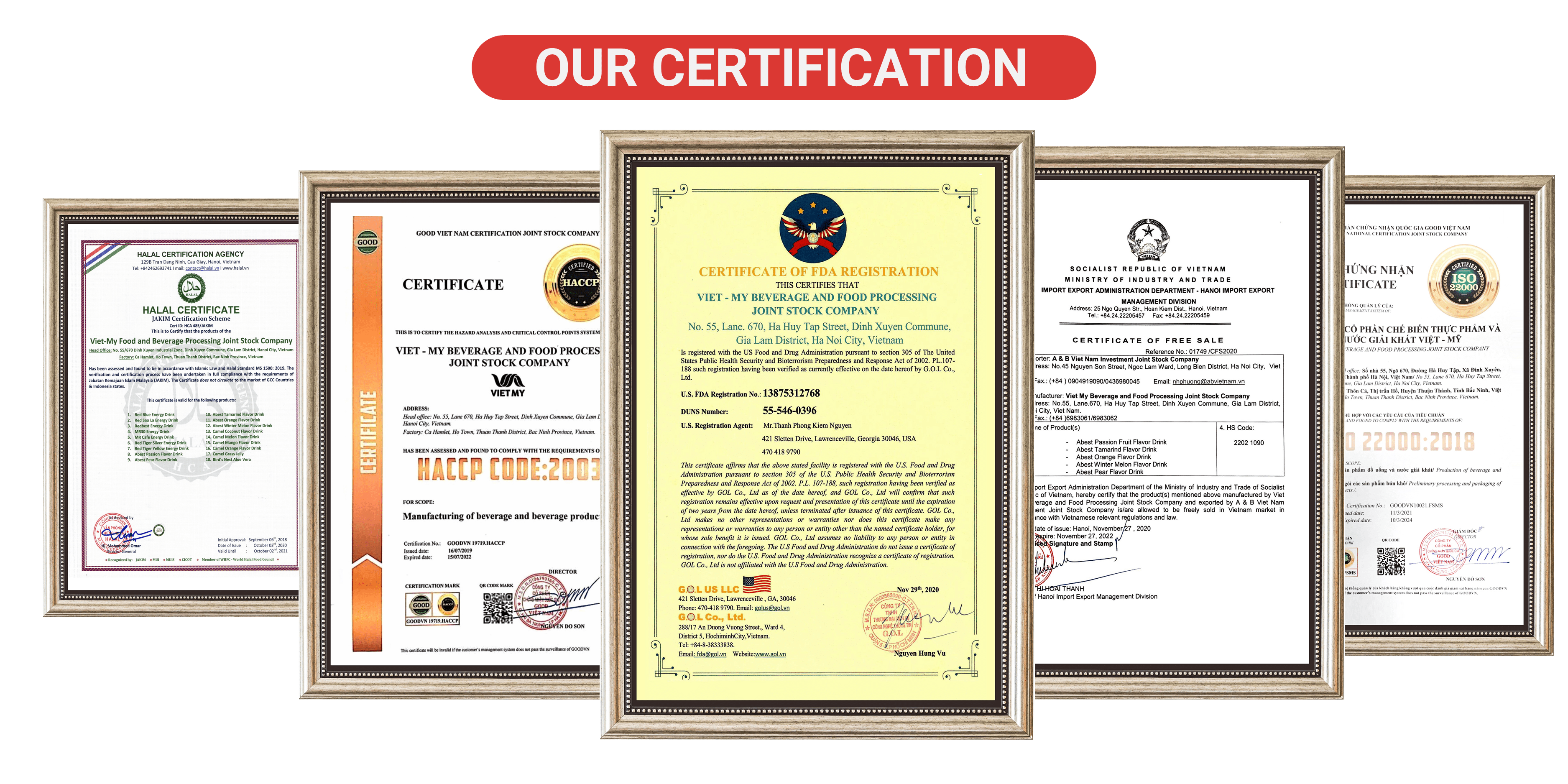 Camel Beer Stout OEM Brand Private Label Lager Best Price Wholesale Packaged in Bottle