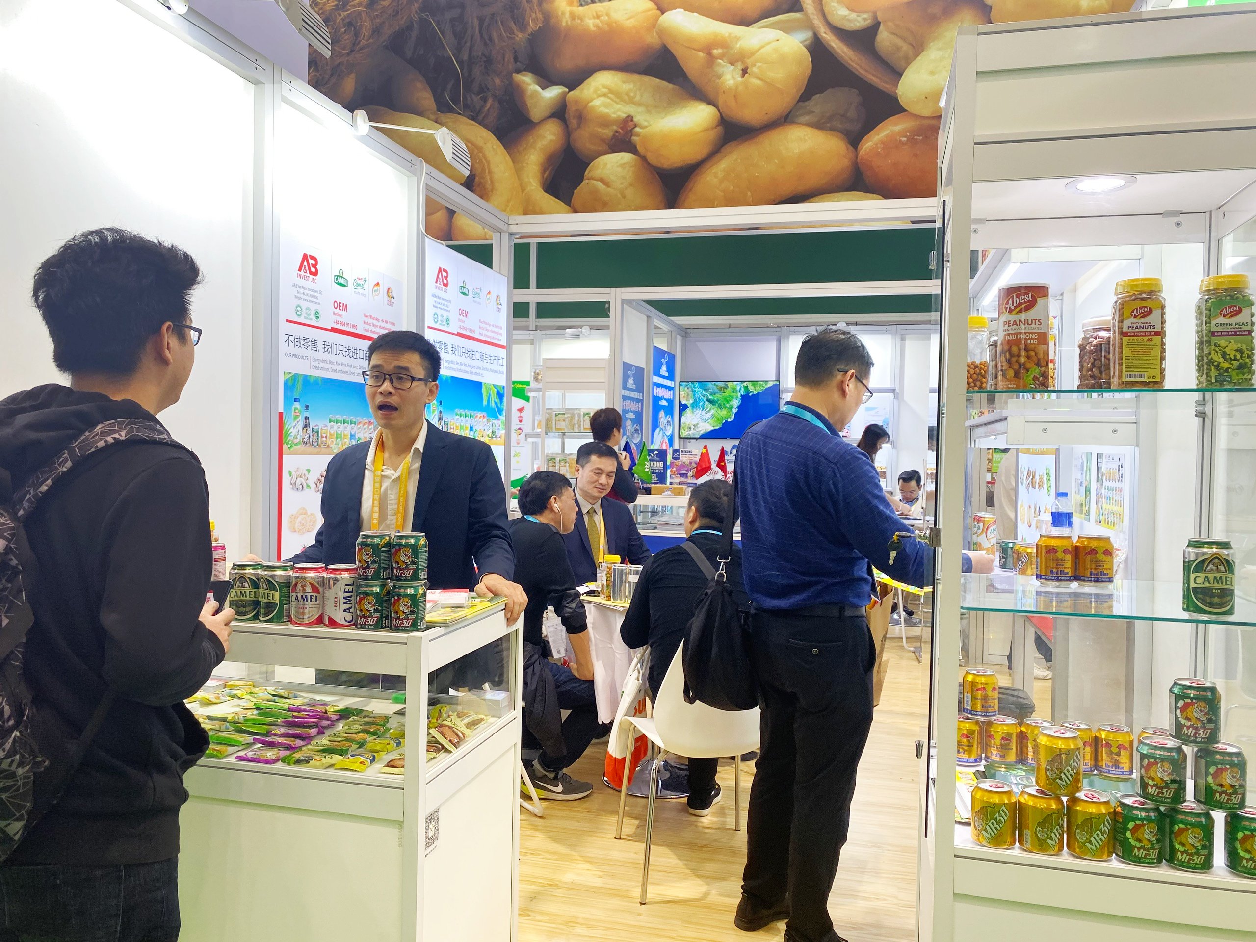 Camel Beer Stout OEM Brand Private Label Lager Best Price Wholesale Packaged in Bottle