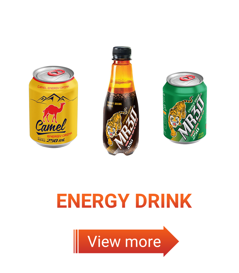 Camel Beer Stout OEM Brand Private Label Lager Best Price Wholesale Packaged in Bottle