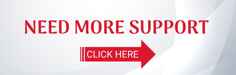 Camel Beer Stout OEM Brand Private Label Lager Best Price Wholesale Packaged in Bottle