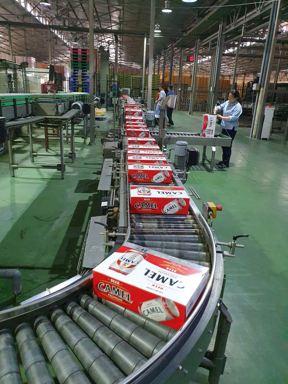 Camel Beer Stout OEM Brand Private Label Lager Best Price Wholesale Packaged in Bottle