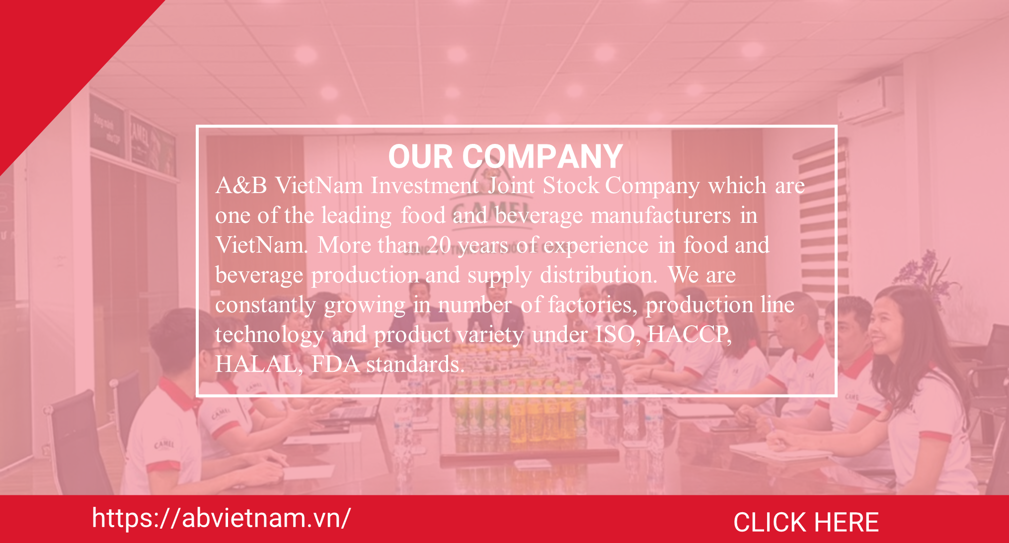 Camel Beer Stout OEM Brand Private Label Lager Best Price Wholesale Packaged in Bottle