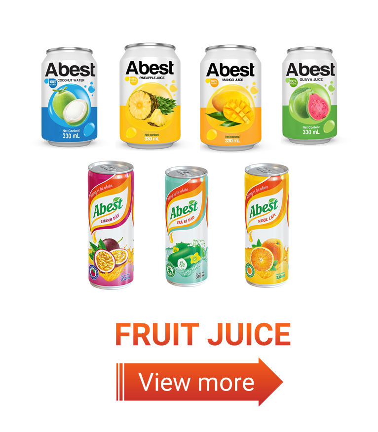 Camel Beer Stout OEM Brand Private Label Lager Best Price Wholesale Packaged in Bottle