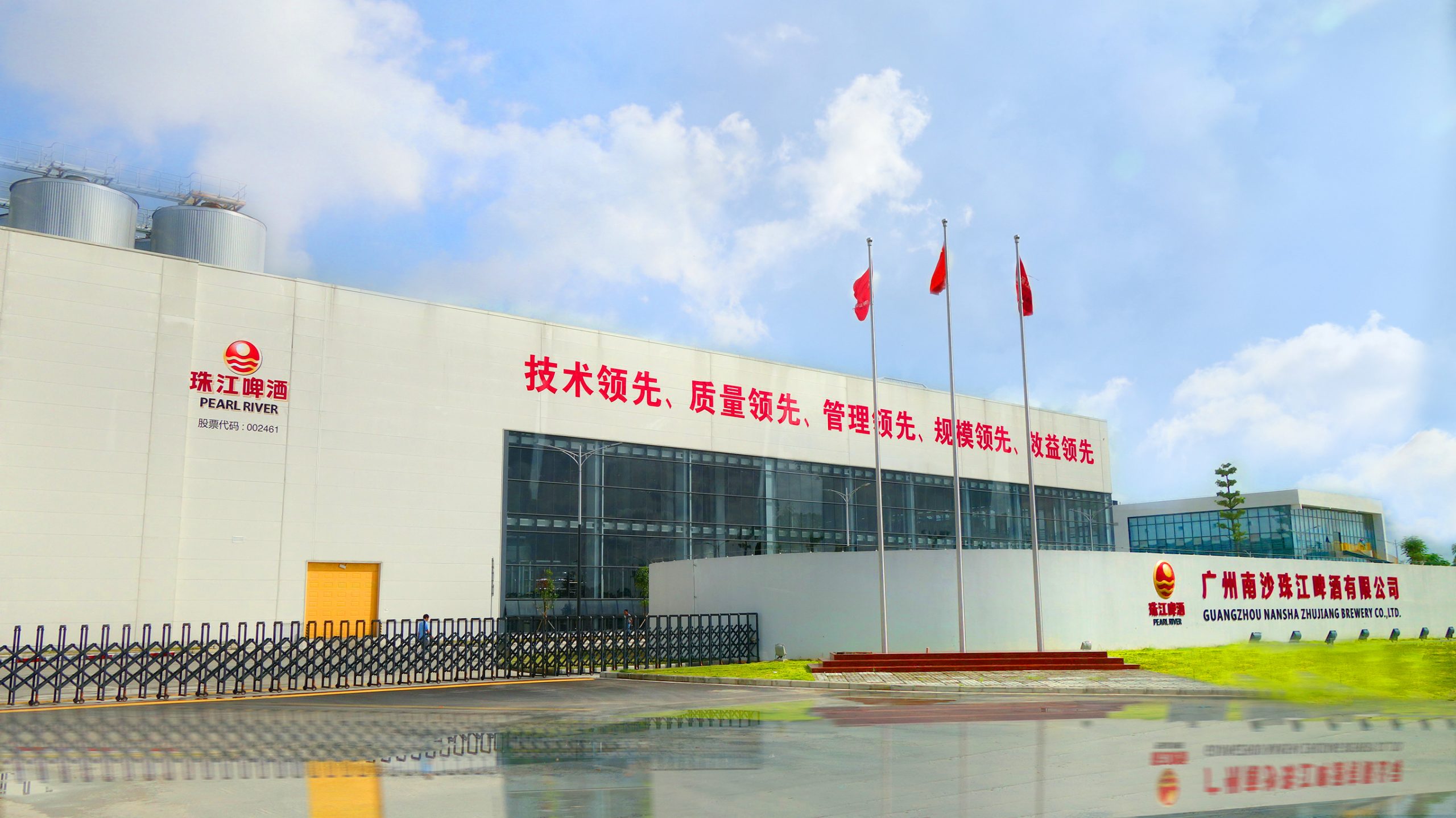 Wholesale Private Label Extra Strong 8°P Pearl River P9 Craft Wheat Malt Beer in Cans Premium 9 Beer - 图片 2