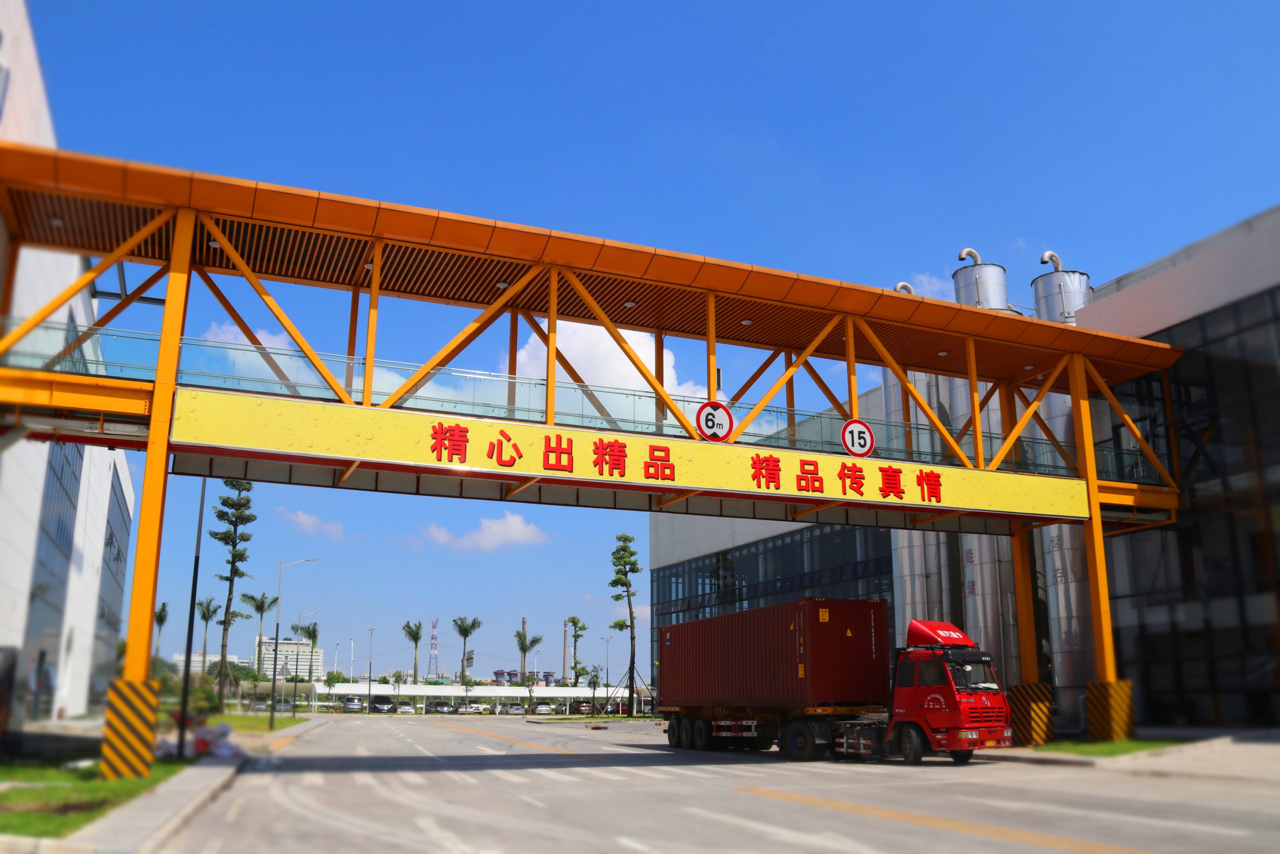 Wholesale Private Label Extra Strong 8°P Pearl River P9 Craft Wheat Malt Beer in Cans Premium 9 Beer - 图片 4