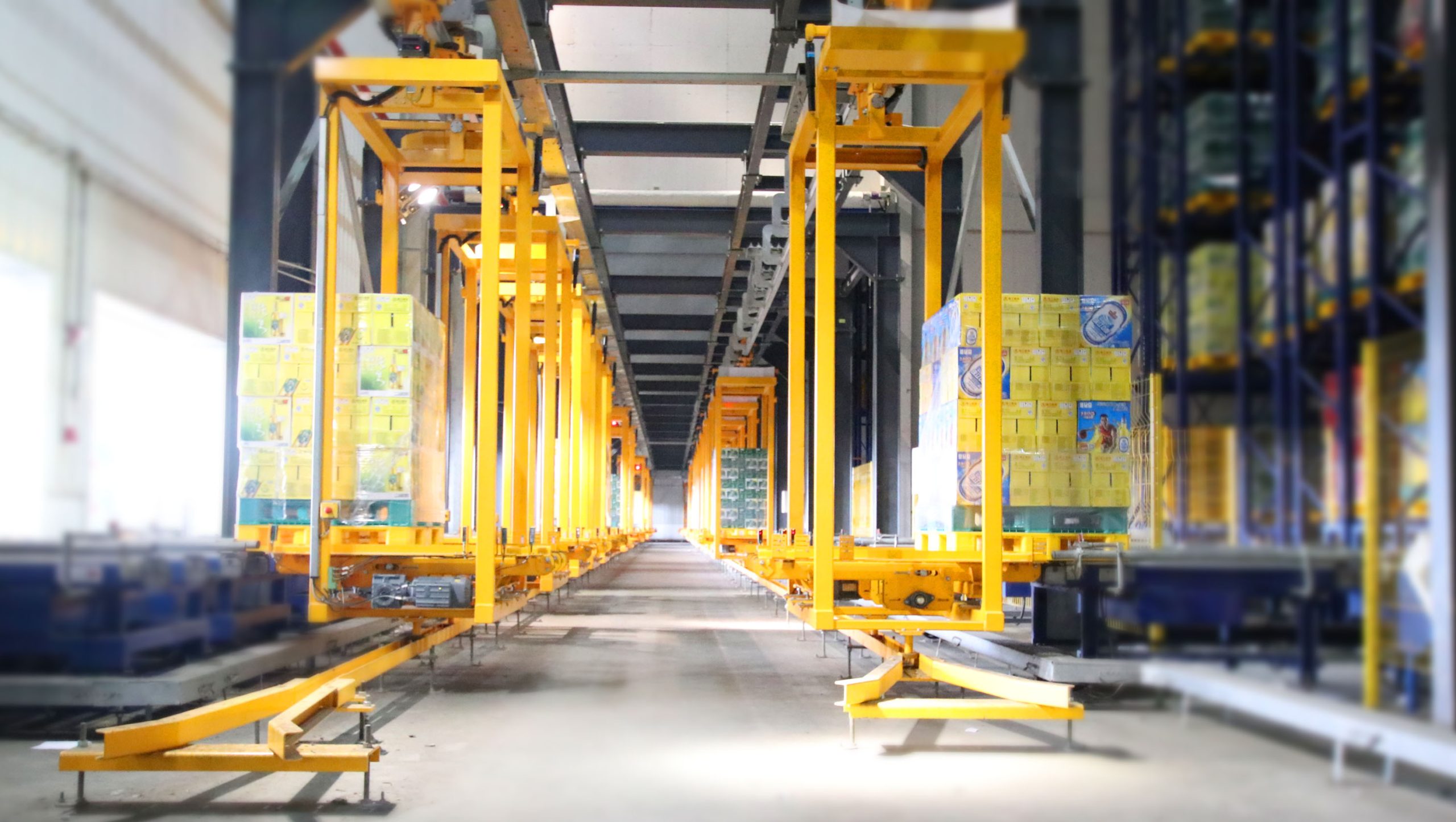 Wholesale Private Label Extra Strong 8°P Pearl River P9 Craft Wheat Malt Beer in Cans Premium 9 Beer - 图片 5